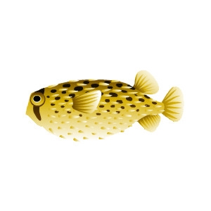 Porcupine Puffer